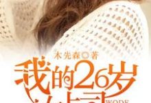 我的26岁女上司小说阅读，我的26岁女上司完结版-牛皮文学