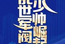 乱世军阀少帅崛起小说阅读，乱世军阀少帅崛起完结版-牛皮文学