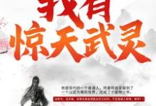 完结版《我有惊天武灵》在线免费阅读-牛皮文学