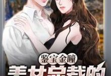 已完结小说《鉴宝金瞳：美女总裁的贴身鉴宝师》章节在线阅读-牛皮文学