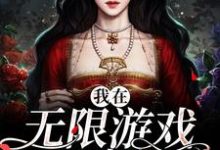 完结版《我在无限游戏里度假》免费阅读-牛皮文学