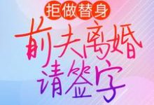 在线寻找拒做替身：前夫离婚请签字小说的无删减版本-牛皮文学