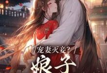 完结版《宠妻灭妾？娘子，我不会啊》章节阅读-牛皮文学