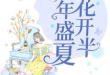 完结版《那年盛夏花开半》章节阅读-牛皮文学