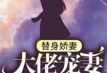 完结版《替身娇妻：大佬宠妻别太过》免费阅读-牛皮文学