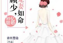 小说《99亿甜婚：顾少，宠妻如命》章节免费阅读-牛皮文学