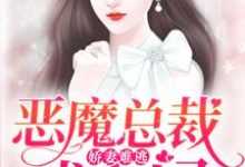 已完结小说《娇妻难逃：恶魔总裁找上门》在线章节阅读-牛皮文学