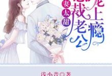 完结版《萌妻太甜：总裁老公宠上瘾》在线免费阅读-牛皮文学