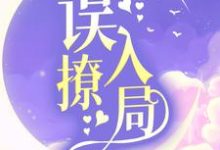 误撩入局章节免费在线阅读，祁砚舒漾完结版-牛皮文学