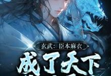 完结版《玄武：臣本麻衣，成了天下锦绣霸主》在线免费阅读-牛皮文学