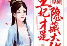 完结版《穿越：王妃才是隐藏大佬》章节目录在线阅读-牛皮文学