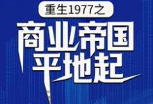 重生1977之商业帝国平地起这本小说怎么样？免费在线阅读试试-牛皮文学