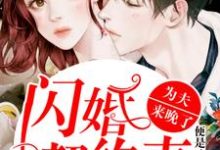 已完结小说《闪婚契约妻：为夫来晚了》章节在线阅读-牛皮文学