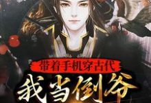 完结版《带着手机穿古代，我当倒爷赚大钱》免费阅读-牛皮文学