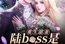 重生甜妻：陆boss是宠妻狂魔小说的最新章节在哪里更新？免费追踪阅读-牛皮文学