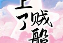 完结版《上了贼船》章节目录在线阅读-牛皮文学