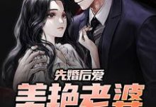 《先婚后爱：美艳老婆太撩人》小说大结局免费试读 苏子文沈念一小说-牛皮文学