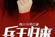 完结版《兵王归来有了老婆女儿》在线免费阅读-牛皮文学