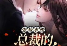 完结版《强势求婚，总裁的幸孕罪妻》章节阅读-牛皮文学