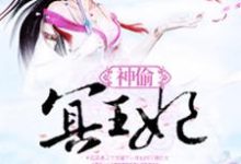 完结版《神偷冥王妃》章节目录在线阅读-牛皮文学