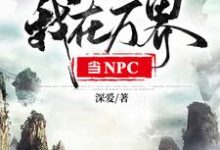 小说《我在万界当NPC》章节免费阅读-牛皮文学