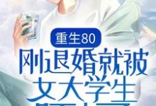 完结版《重生80：刚退婚就被女大学生盯上了》在线免费阅读-牛皮文学