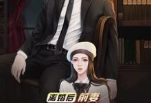 离婚后，前妻跪求我复婚小说的无弹窗阅读体验，寻找免费阅读网站-牛皮文学