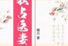 独占医妻盛玥君元晔，独占医妻小说免费阅读-牛皮文学