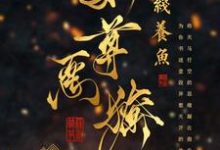 已完结小说《女尊：娇养的暗卫夫君又拔刀了》章节在线阅读-牛皮文学