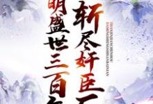 已完结小说《斩尽奸臣后，大明盛世三百年》在线章节阅读-牛皮文学