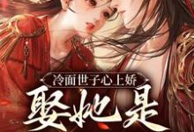 完结版《冷面世子心上娇：娶她是筹谋已久》章节阅读-牛皮文学