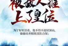 夏天司马兰小说《被追杀的我，被敌人推上了皇位》在线阅读-牛皮文学