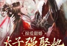 完结版《掠爱甜婚：太子强娶她入东宫》章节阅读-牛皮文学