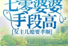 完结版《七零婆婆手段高，女主儿媳要孝顺》章节目录在线阅读-牛皮文学