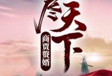 《商贾赘婿，吃尽天下！》全集免费在线阅读（苏牧沈云初）-牛皮文学