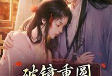 小说《破镜重圆：权臣跪求复合》章节阅读-牛皮文学