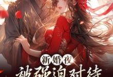 《新婚夜被强迫对待，这叫不近女色？》小说大结局免费试读 谢临珩虞听晚小说-牛皮文学