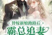 完结版《替嫁新娘跑路后，霸总追妻火葬场了》章节阅读-牛皮文学