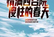 《情满四合院：傻柱的春天》小说主角何雨柱傻柱章节章节免费在线阅读-牛皮文学