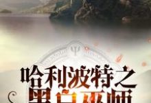 《哈利波特之黑白巫师》小说章节在线试读，《哈利波特之黑白巫师》最新章节目录-牛皮文学