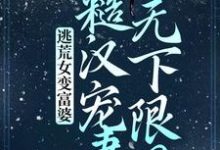 《逃荒女变富婆：糙汉宠妻无下限？》小说章节列表免费试读，苏晚晚沈渊小说在线阅读-牛皮文学