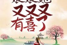 完结版《陛下，娘娘她又又又有喜了》章节阅读-牛皮文学