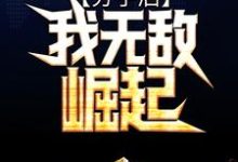 完结版《分手后，我无敌崛起》章节目录在线阅读-牛皮文学