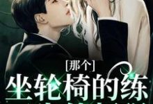 完结版《那个坐轮椅的练习生他超强》章节阅读-牛皮文学