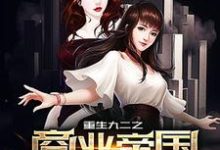 完结版《重生九二之商业帝国》在线免费阅读-牛皮文学