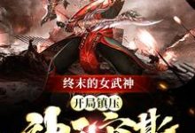 已完结小说《终末的女武神：开局镇压神王宙斯》章节在线阅读-牛皮文学