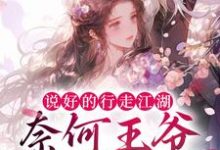 完结版《说好的行走江湖，奈何王爷太黏人》章节目录在线阅读-牛皮文学