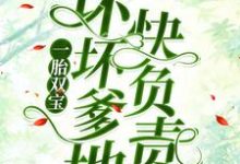 《一胎双宝：坏坏爹地快负责》小说主角南宫丞沈茉染章节章节免费在线阅读-牛皮文学