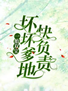 《一胎双宝：坏坏爹地快负责》小说主角南宫丞沈茉染章节章节免费在线阅读