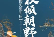 惨死重生后，她权倾朝野苏非烟轩辕瑾，惨死重生后，她权倾朝野章节在线阅读-牛皮文学